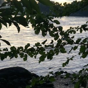 Meet your Posher, Rubiya